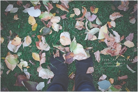 #rfphotochallenge www.rachelfarganisphotography.com