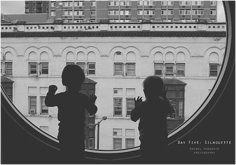 #rfphotochallenge www.rachelfarganisphotography.com