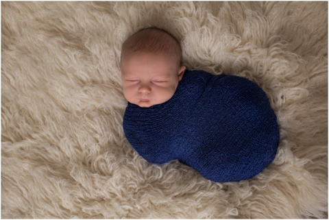 St. Paul Newborn Photography www.rachelfarganisphotography.com