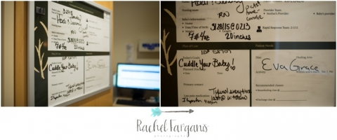 St. Paul, MN Fresh 48 Photographer www.rachelfarganisphotography.com