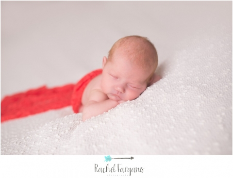St. Paul Newborn Photographer www.rachelfarganisphotography.com
