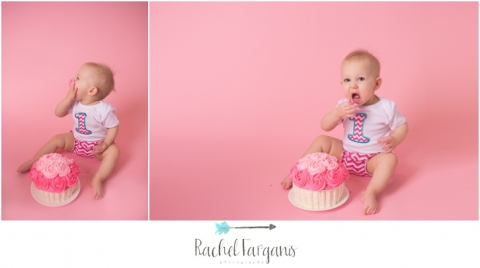 St. Paul Family Photographer www.rachelfarganisphotography.com