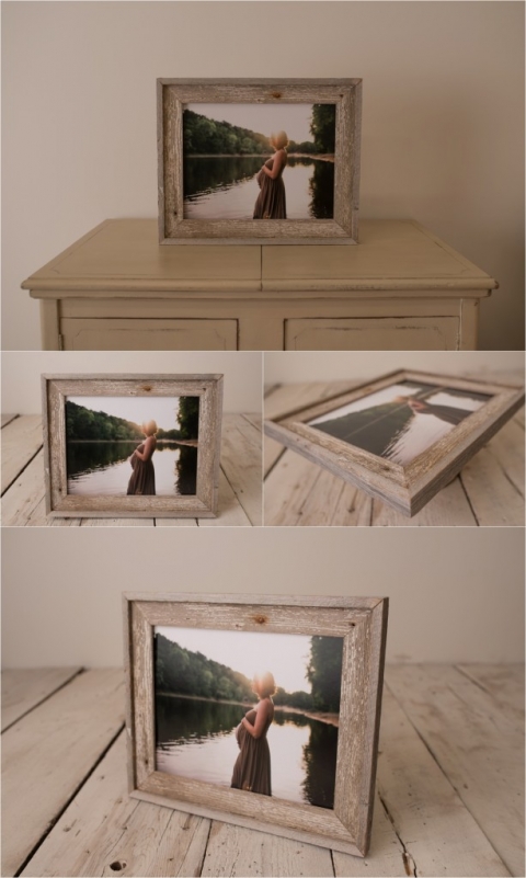 St. Paul Photographer www.rachelfarganisphotography.com