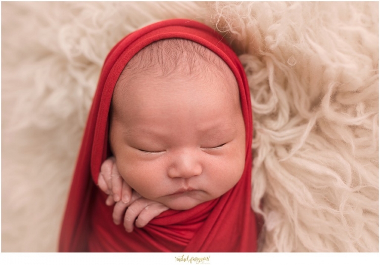 St. Paul Newborn Photographer www.rachelfarganisphotography.com